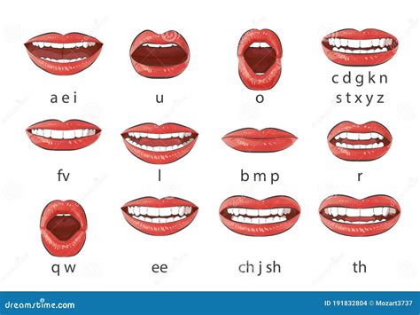 English Language Pronunciation Visual Guide Cartoon Vector | CartoonDealer.com #89395349