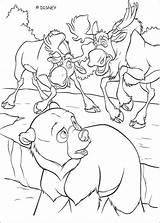 Brother bear And Moose coloring Pages  Hellokidscom sketch template