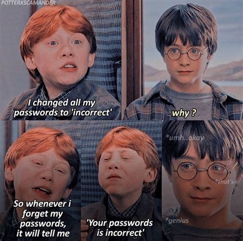 Ron and Harry. | Harry potter funny, Harry potter memes, Harry potter jokes