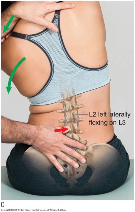 Muscle and Bone Palpation of the Low Back and Pelvis