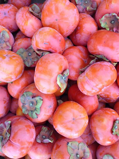 fuyu persimmon | Persimmon, Fruit, Vegetables