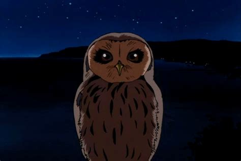 Hoot GIF - Find on GIFER