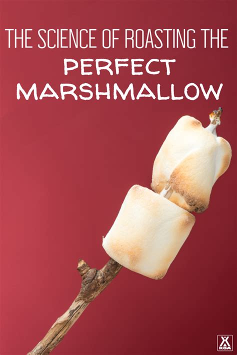 The Science of Roasting Marshmallows