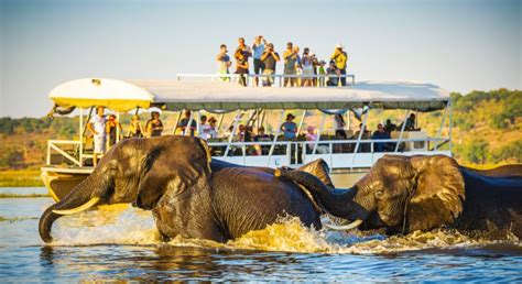 Africa’s tourism outlook and top destinations before the pandemic