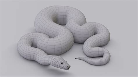 Animated Pythons Volume 1 Modelo 3D - TurboSquid 1529043