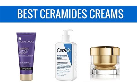 Are Ceramides The Key To Healthy Skin? | Healthy skin cream, Skin repair cream, Top skin care ...