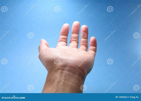 Hand Reaching To Sky Stock Image | CartoonDealer.com #1325623