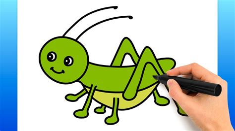 How To Draw A Grasshopper (Easy Drawing Tutorial) - YouTube