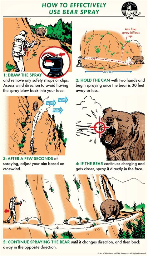 How to Survive a Bear Attack: The Complete Guide | Art of Manliness