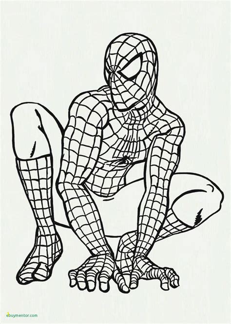 Spiderman Coloring Pages Online Game | divyajanan