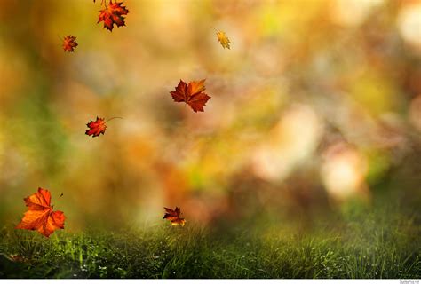 Autumn September Wallpapers - Wallpaper Cave