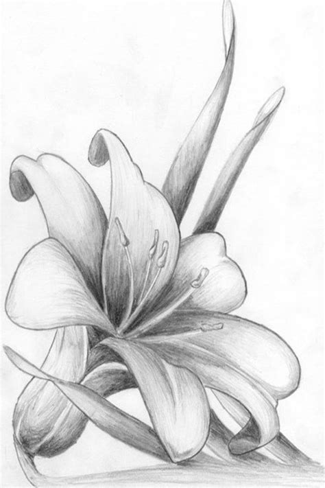 Drawing Pencil Flowers Easy #drawingtutorial #drawinganime #drawingsketch | Realistic flower ...