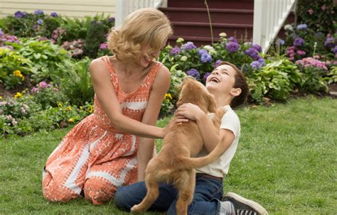 [Watch] 'A Dog's Purpose' Trailer: Family Film Told From K-9 Perspective