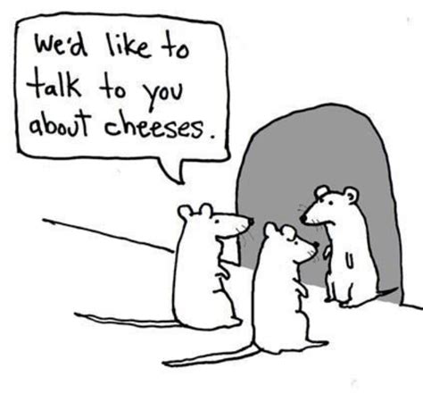 cheeses!!!!! - Meme by 3mmely :) Memedroid