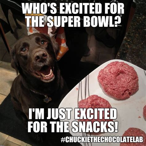 Who's excited for the Super Bowl? - Imgflip