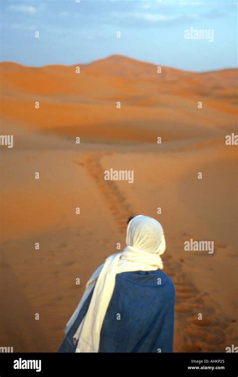 Camel Trekking Sahara Desert Stock Photo - Alamy