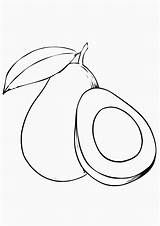 Avocado Coloring Page sketch template