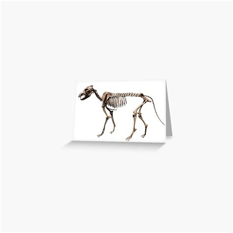 "Dire Wolf Skeleton" Greeting Card by MizukageKira | Redbubble