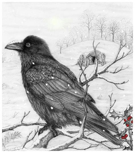 Winter Solstice | Raven art, Raven artwork, Crow