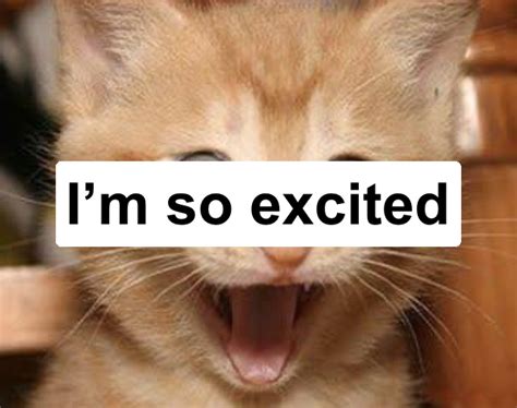 Excited Cat Meme Generator - Piñata Farms - The best meme generator and meme maker for video ...