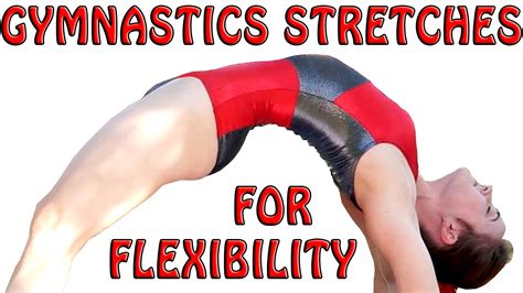 Flexibility Stretches Gymnastics At Home Exercises How To Tutorial & Follow Along Workout ...