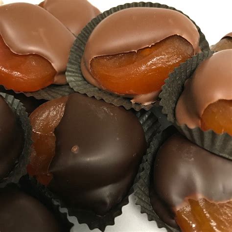 Chocolate Covered Apricots – Cape Cod Chocolatier