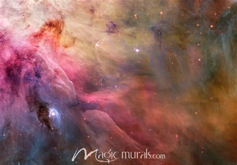 Orion Nebula Wallpaper Wall Mural by Magic Murals