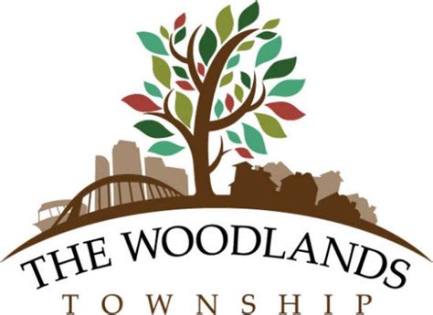 Tuesday, November 7th is The Woodlands Township Board of Directors Election | The Woodlands in Focus