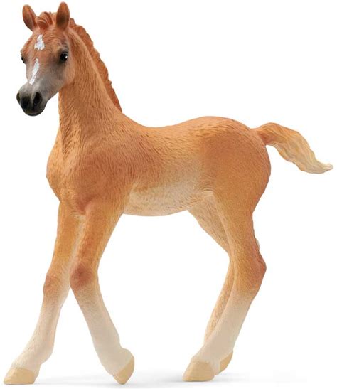 Schleich Arab Foal Wholesale