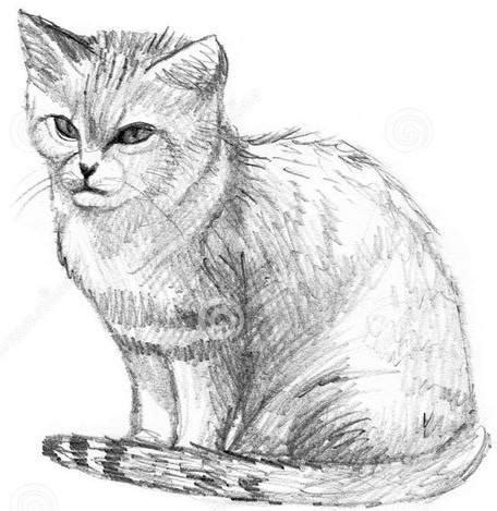 Descargar Cara Menggambar Kucing dengan Pensil Google Play softwares - a4x70E6RpRMp | mobile9