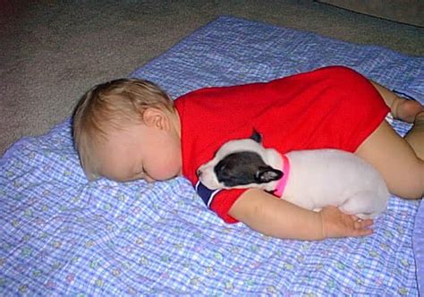 Latest Funny Pictures: Funny Dogs And Babies