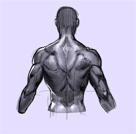 How to Draw the Human Back, a Step-by-Step Construction Guide – GVAAT'S WORKSHOP