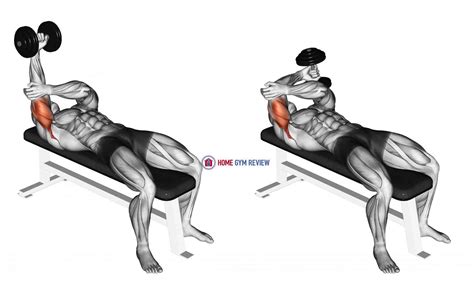 Dumbbell Lying One Arm Pronated Triceps Extension - Home Gym Review