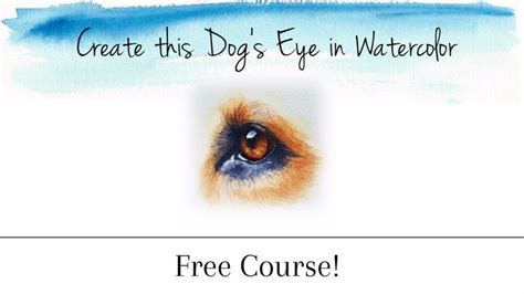 Learn to paint this side view of a dog's eye in watercolor | Dog eyes ...