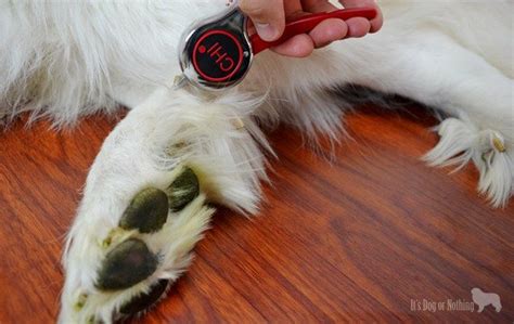 Great Pyrenees Grooming #CHIforDogs | Dog grooming tools, Dog grooming ...