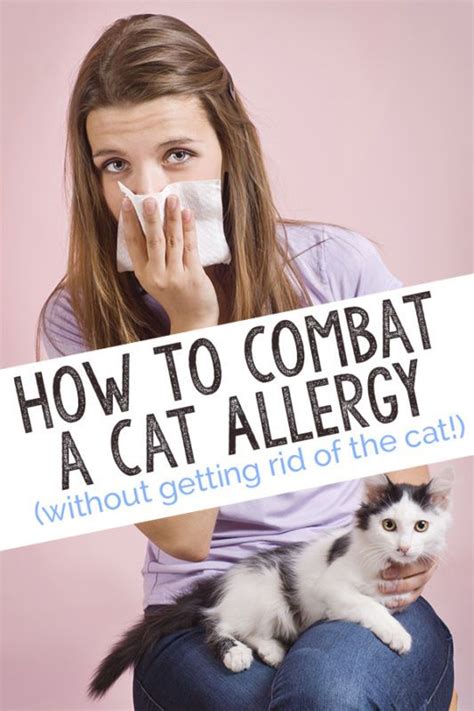Shop by Category | eBay | Cat allergies, Cat allergies relief, Allergic to cats