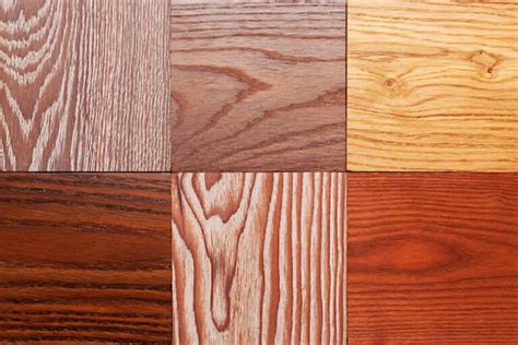 How to Identify Wood - Wood Identification Tips and Chart