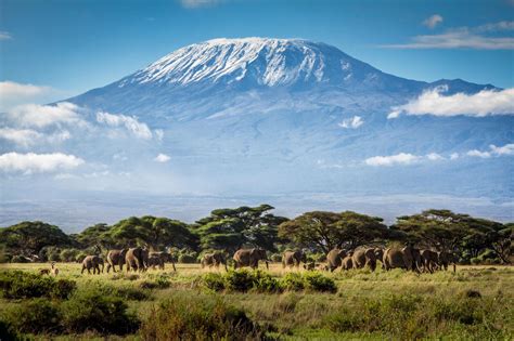 Kilimanjaro Wallpapers - Top Free Kilimanjaro Backgrounds - WallpaperAccess