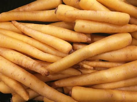 Vegetable - yellow carrots stock image. Image of nature - 247014883