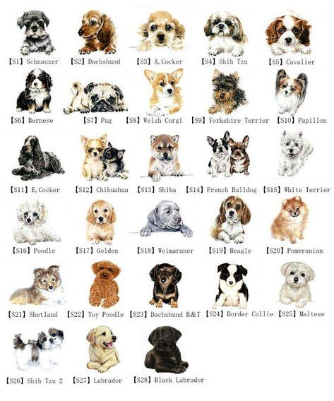 Classification of Domestic Dog | learn fun smart crossbreed suitable for you a breed for | dogs ...