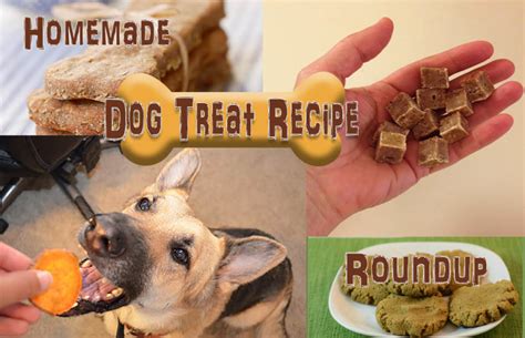 Homemade Grain-free Dog Treats - Savvy Pet Care