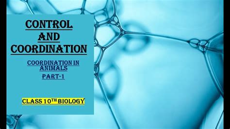 CONTROL AND COORDINATION | CONTROL IN ANIMALS | PART-1| CLASS 10TH BIOLOGY - YouTube