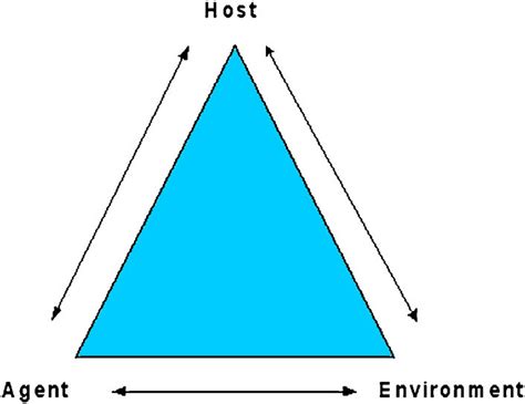 Epidemiologic triangle model of disease causation. Source: Mausner and ...