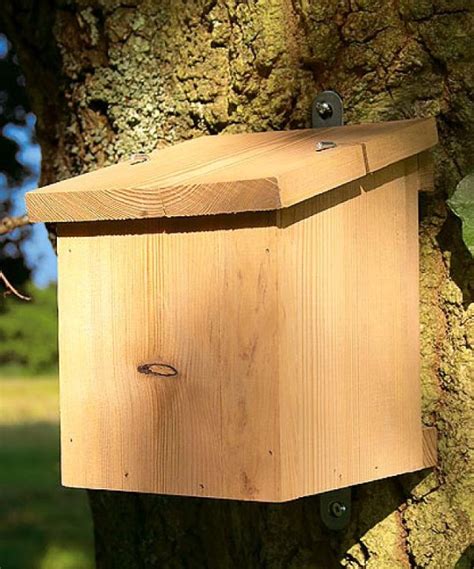 Vivara Pro Dormouse Box – Vivara Pro