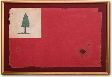 Bunker Hill Flag, 1775 | War flag, American war of independence, Flag