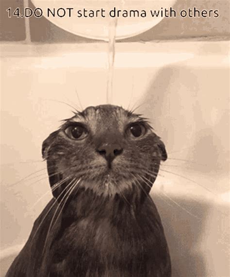 Water Bath GIF - Water Bath DoNotStartDramaWithOthers - Discover & Share GIFs