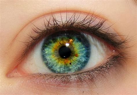 Beautiful eyes color, Blue green eyes, Heterochromia eyes