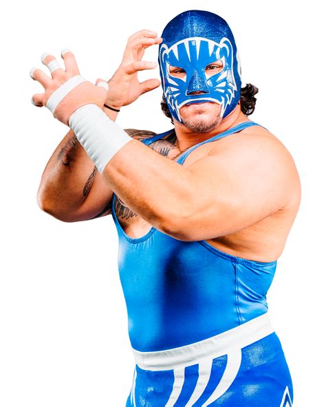 BLUE PANTHER JR. - CMLL ::: La Mejor Lucha Libre del Mundo