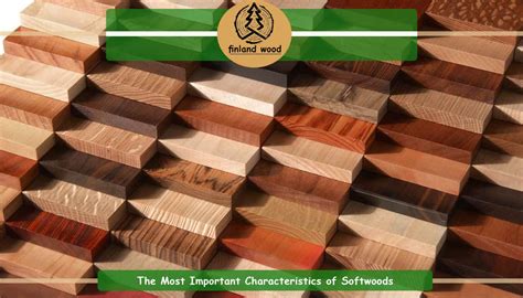 What Is Soft Wood? (+5 List Of SoftWood + Use And Price 2023)