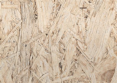 Light Wood Grain Wallpaper - typikalempire